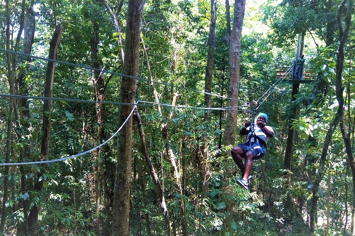  Strap in and experience an exhilarating adventure flying over the magnificent rain-forest canopy.