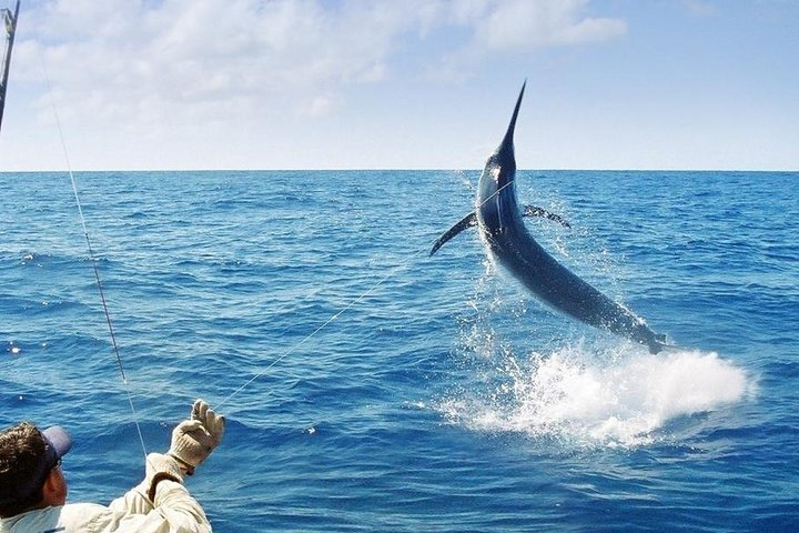 Deep Sea Fishing 