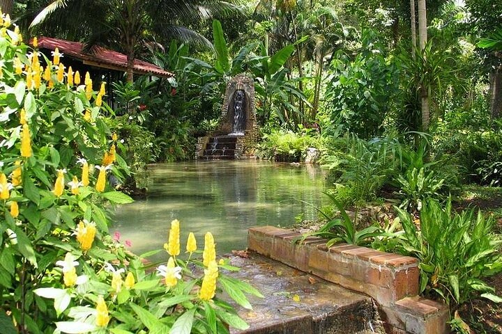 Fun tour for kids with River tubing and Konoko Falls - Photo 1 of 4