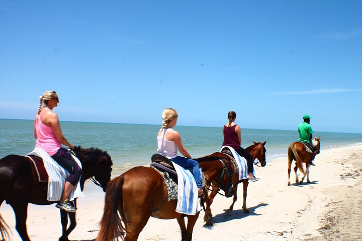 Horse Back riding Excursion - Photo 1 of 5