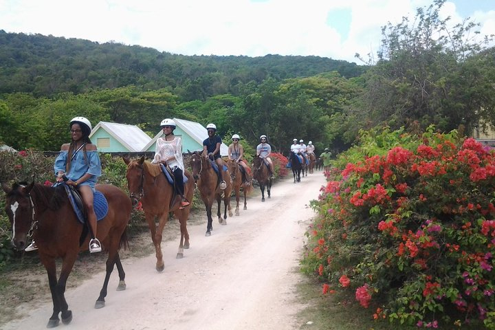 Horseback Ride