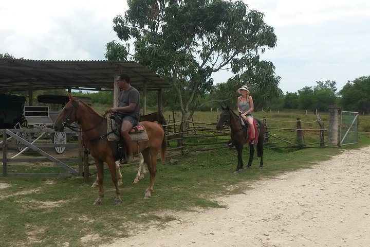 Horse Back Riding