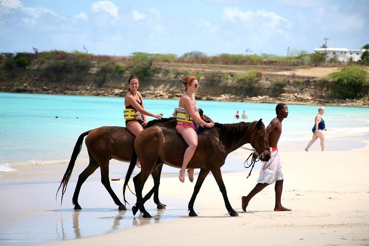 Horseback Riding from Runaway Bay  - Photo 1 of 9