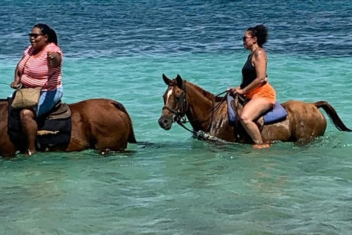 Hour Horseback Riding Guided Tour from Runaway Bay - Photo 1 of 13