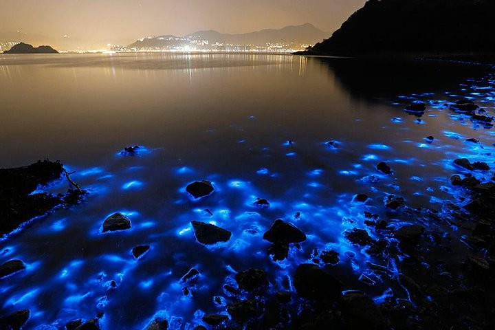 Luminous Lagoon