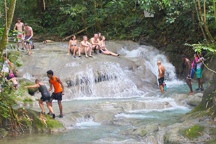 Mayfield Falls Tour with Lunch, drink &Transportation (Original) - Photo 1 of 12