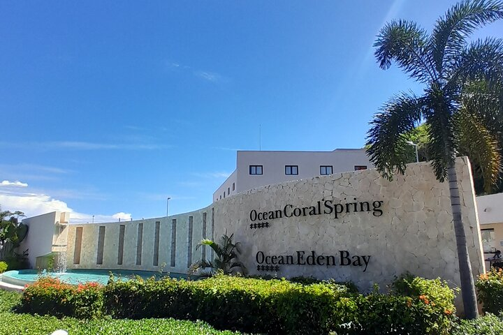 Ocean Eden Bay & Carol Spring Exquisite Arrivals or Departures - Photo 1 of 11