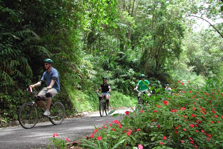 Blue Mountain Bicycle Tour