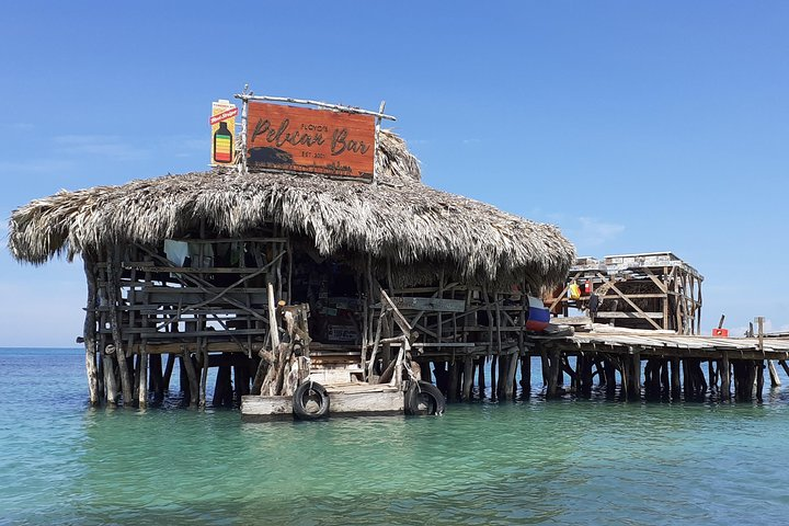 Floysd Pelican Bar