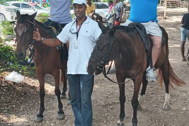 Private Horseback Riding From Falmouth  - Photo 1 of 10