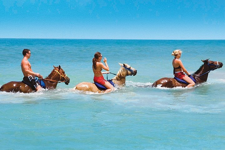 Private Transfer to Beach Horse Back Ride and Swim - Photo 1 of 13