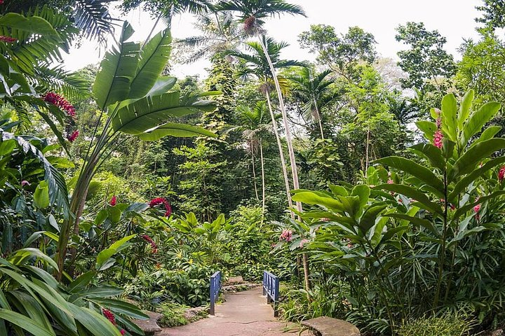 Private Transfer to Konoko Falls Botanical Gardens - Photo 1 of 9