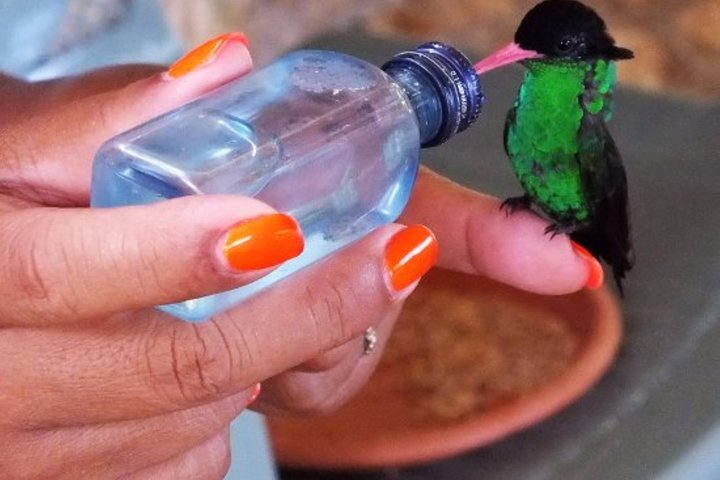 Feeding the birds at the Bird Sanctuary