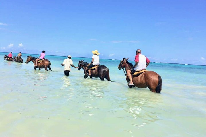 Secret Falls, Blue Hole, and Horseback Riding from Ocho Rios - Photo 1 of 5