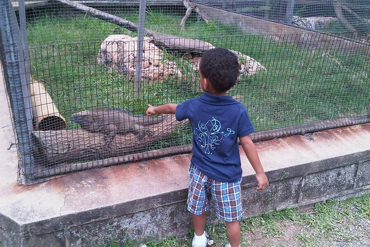 Jamaica Zoo in Saint Elizabeth 