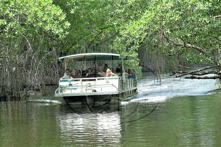 Black River Safari Tour