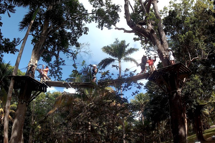 Zip Line over the Dunns River Falls  - Photo 1 of 7