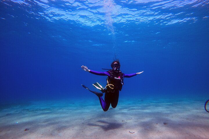  3-Day Open Water Scuba Diving Course in Aqaba - Photo 1 of 7