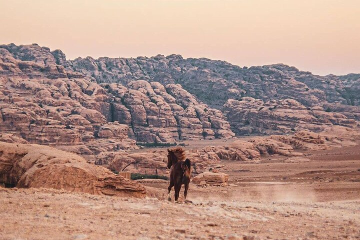 3 Hour Horse Riding Adventure around the Petra Area - Photo 1 of 10