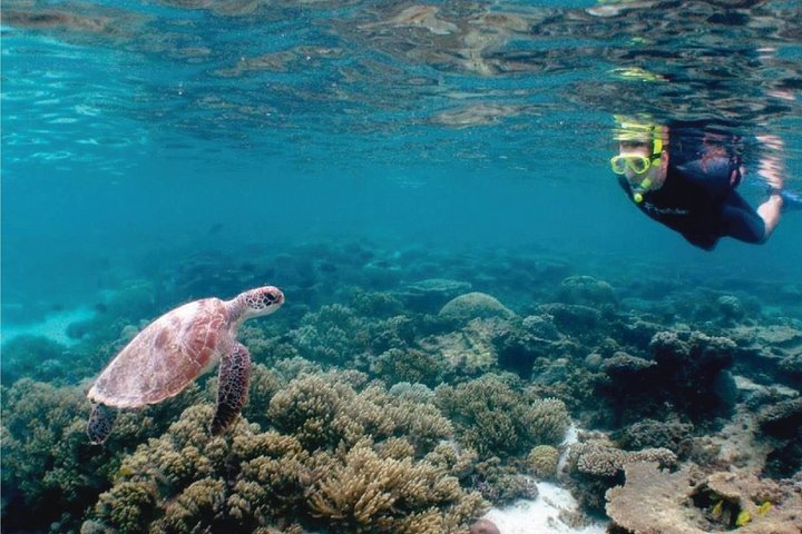 4.5 Hour Snorkeling, Diving With Private Beach Access & Lunch - Photo 1 of 4