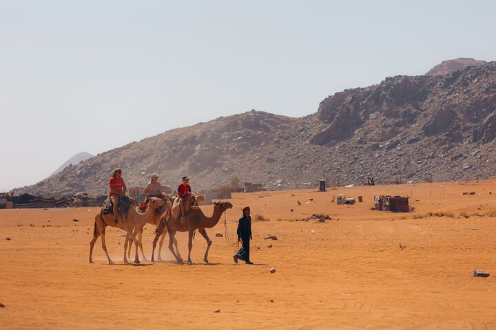 Camel tour