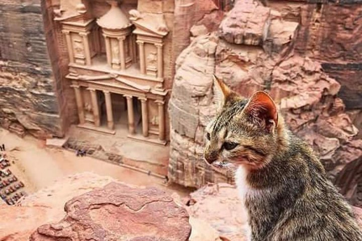 petra