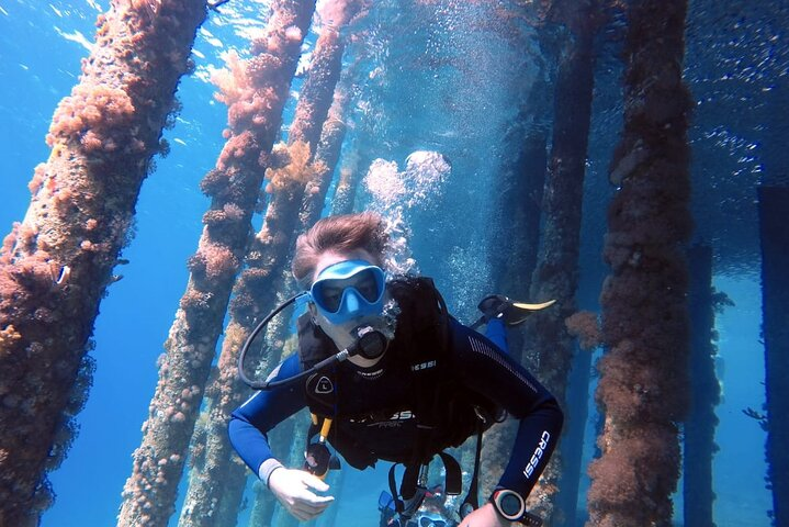 Private Scuba Diving Adventure in the Red Sea of Aqaba - Photo 1 of 8