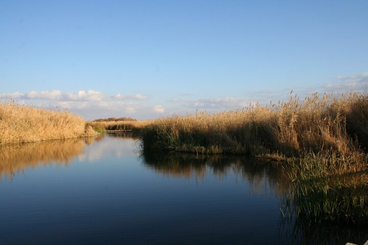 Private Shaumari Wildlife Experience and Overnight at Azraq Wetland Reserve. - Photo 1 of 15