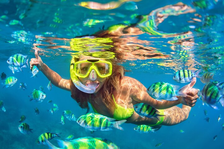 Snorkeling in Aqaba