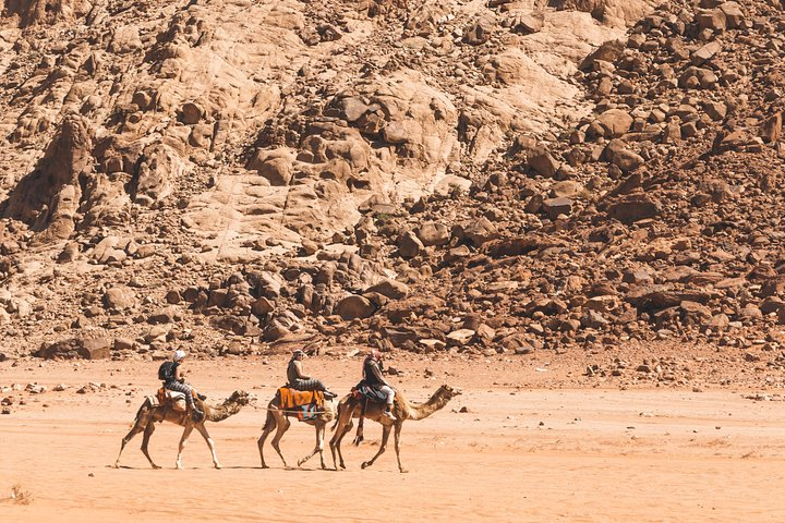 Camel Tour with Desert Eyes in Wadi Rum