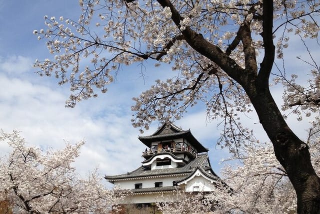 1-day-seki-mino-and-national-treasure-inuyama-castle-from-nagoya_1