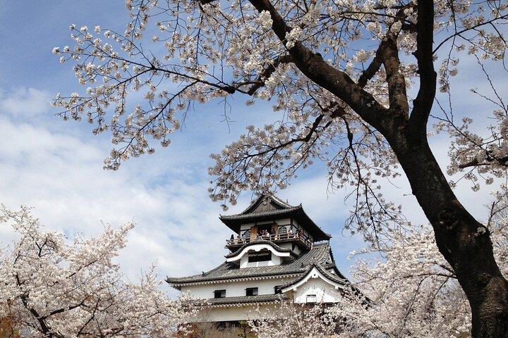 1 Day Seki Mino and National Treasure Inuyama Castle from Nagoya - Photo 1 of 8