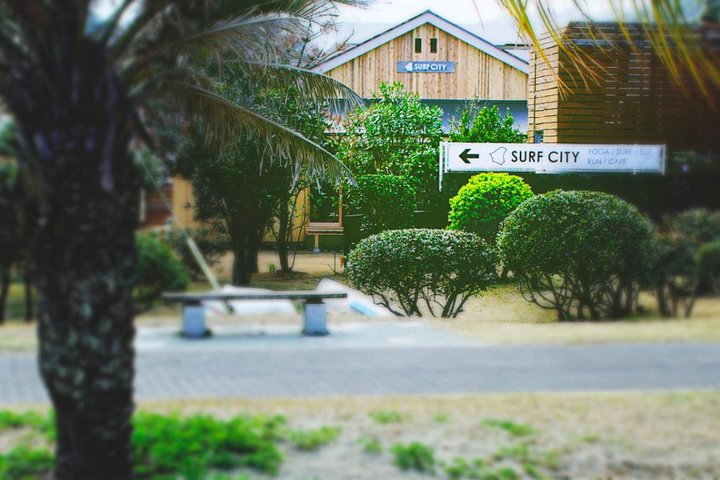 10 seconds to the sea "First surfing experience" Miyazaki - Photo 1 of 5