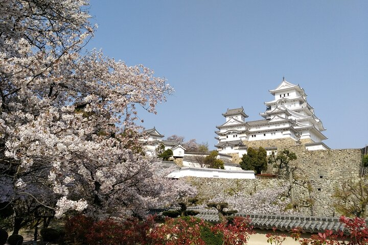 2.5 Hour Private History and Culture Tour in Himeji Castle - Photo 1 of 8