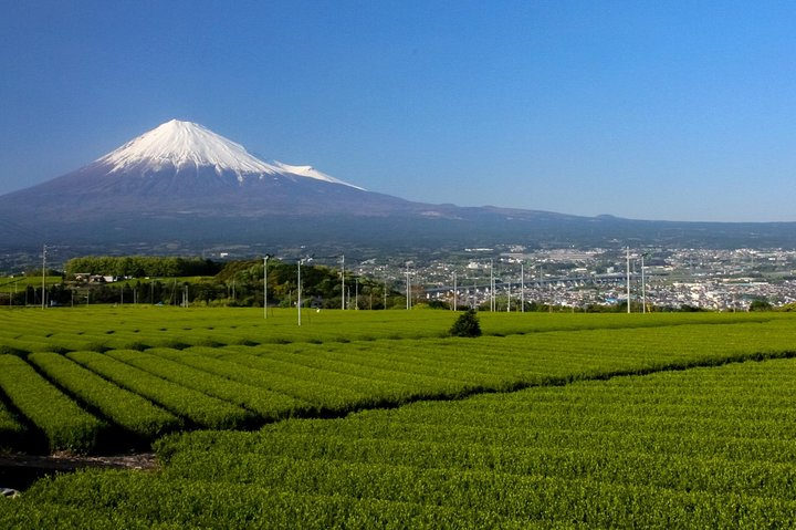 A trip to enjoy subsoil water and nature behind Mt. Fuji - Photo 1 of 6