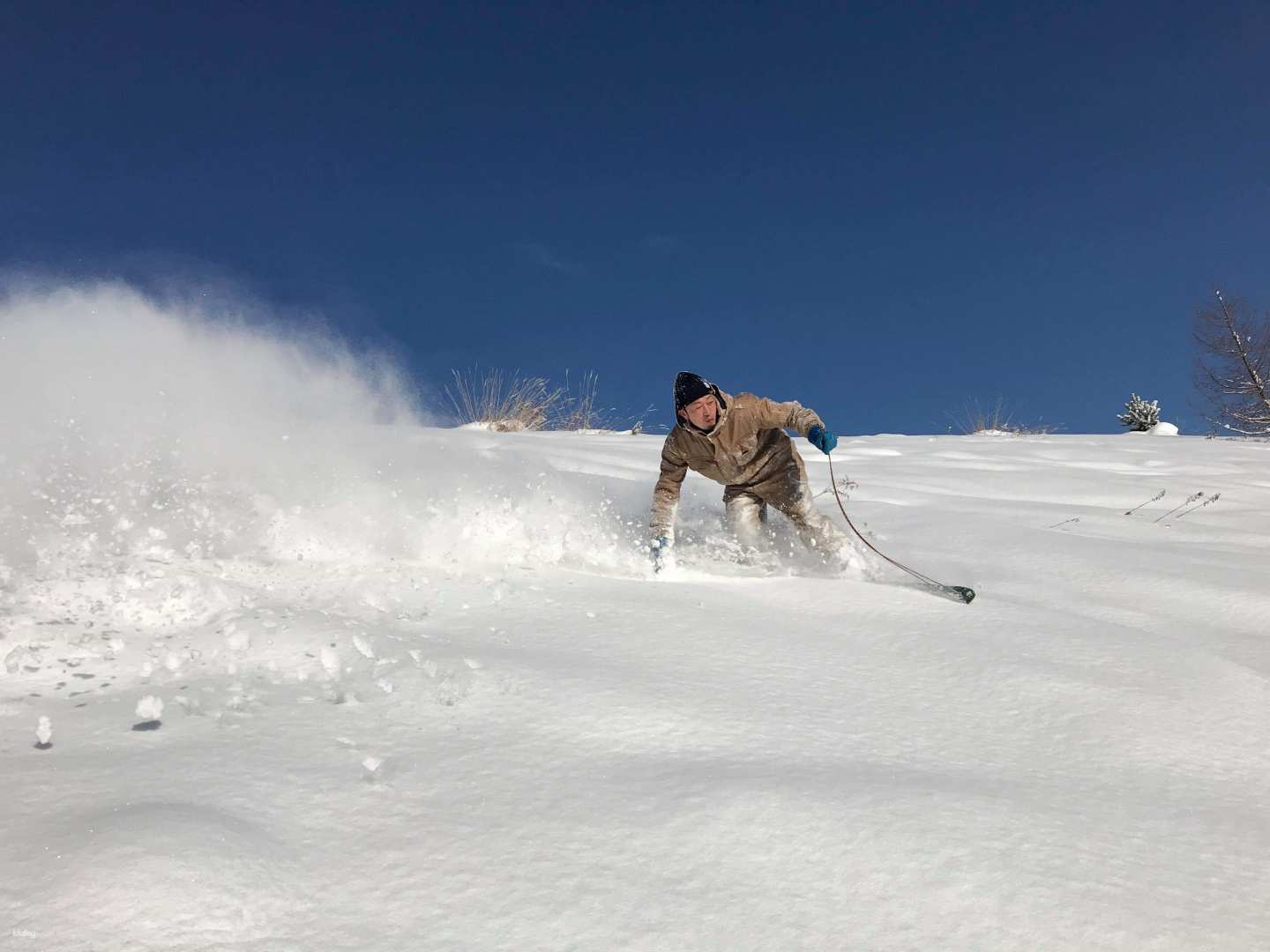 Airboard & Snow Surfing Experience｜Biei, Hokkaido - Photo 1 of 6