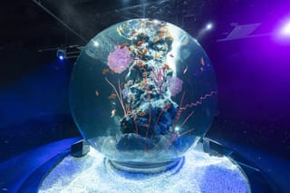 アトア・予約（神戸 都市型水族館 AQUARIUM×ART átoa 入場チケット）（兵庫県 神戸市・水族館） in Hyogo | Pelago