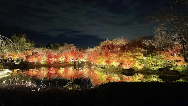 autumn-leave-in-nabana-and-ginkgo-trees-1day-bus-tour-from-nagoya_1