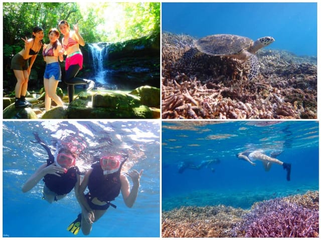 Barasu Island Snorkeling & Iriomote Island Mangrove Kayak/SUP Tour | Okinawa - Photo 1 of 8