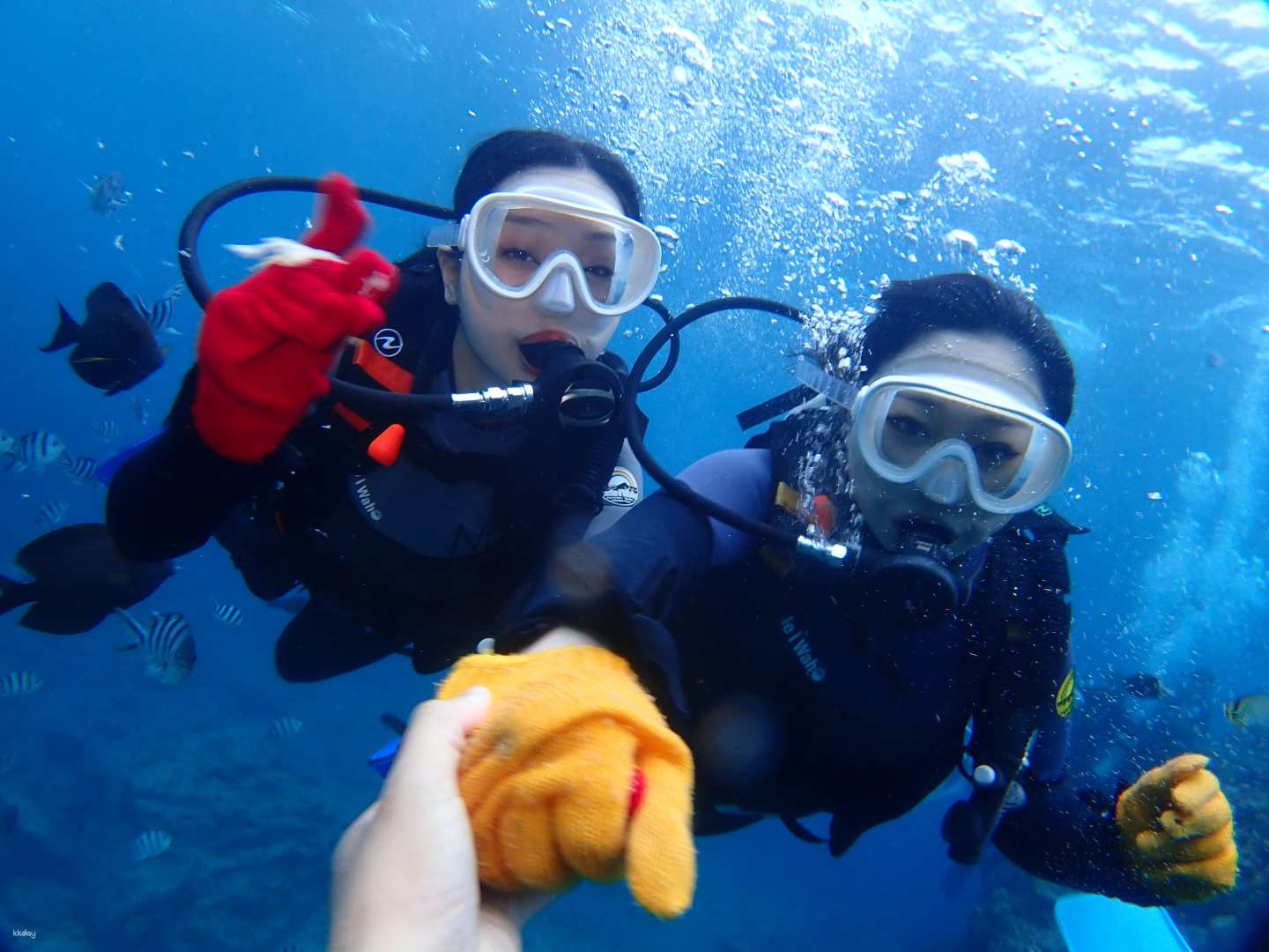 Blue Cave Diving Experience | Natural Blue | Okinawa, Japan - Photo 1 of 6