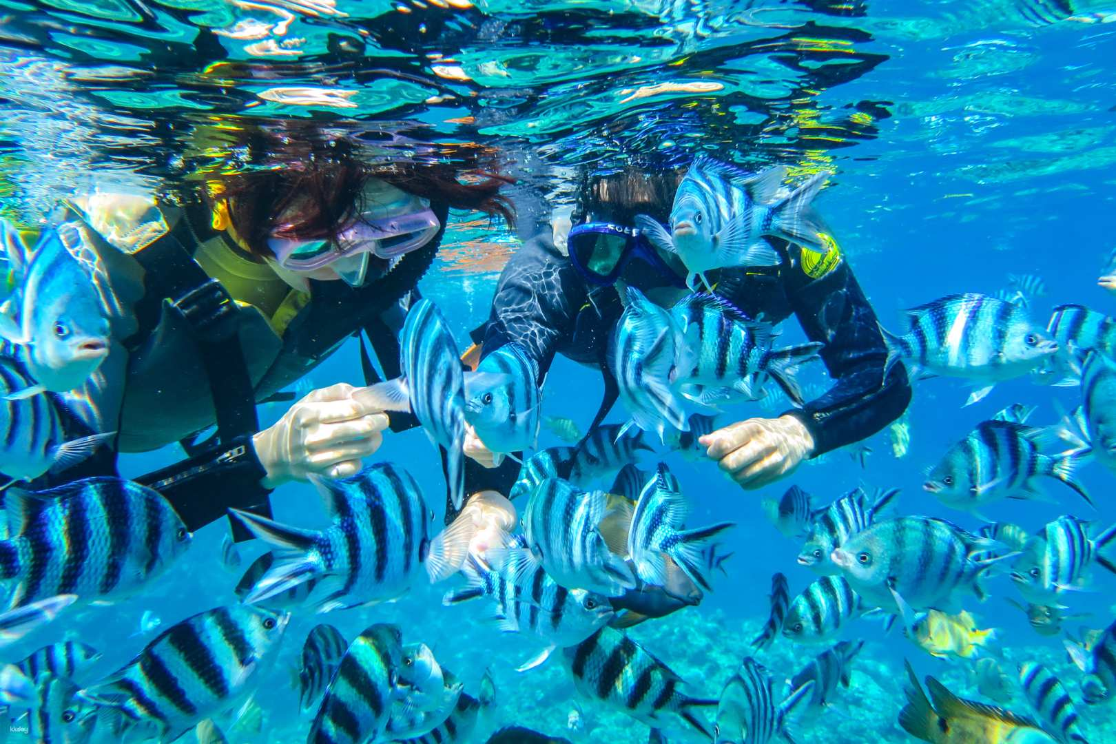 Blue Cave Snorkeling | Private Tour with Photo & Video Shooting Service | Okinawa - Photo 1 of 5