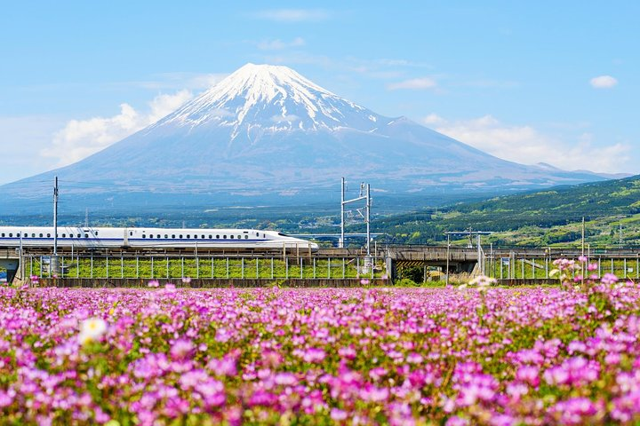 Mt. Fuji Food tour