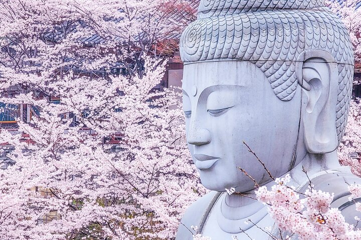 Cherry Blossom Buddha and Mt.Yoshino with Strawberry Picking Tour - Photo 1 of 10