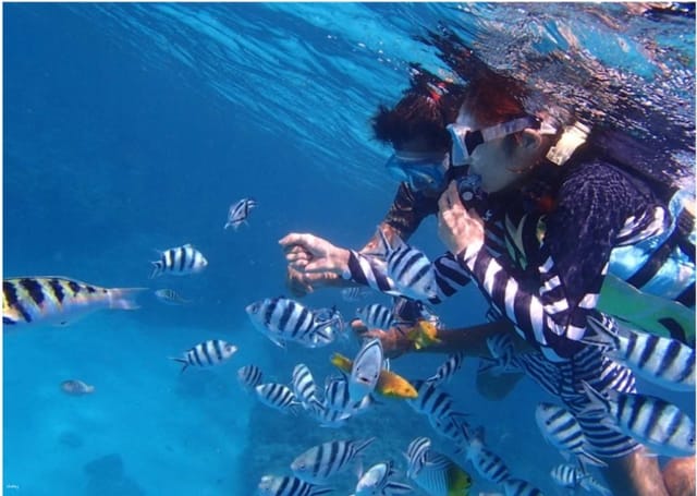 Chibishi Snorkeling Tour | Free Fish feeding & Photo Gift Depart from Naha | Okinawa, Japan - Photo 1 of 2