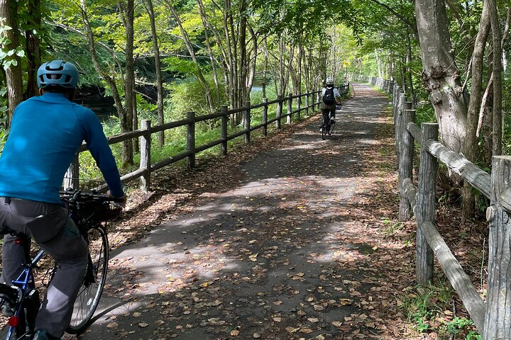 Chitose River E-Bike Cycling and The Birdwatching Cafe - Photo 1 of 5