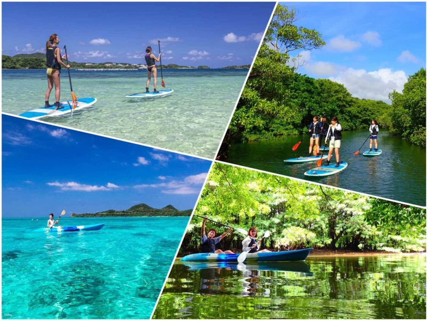 Conquer Ishigaki Island's popular spots: Book a SUP/canoe experience at Kabira Bay and the mangroves, a natural monument (Ishigaki Island, Okinawa) - Photo 1 of 10