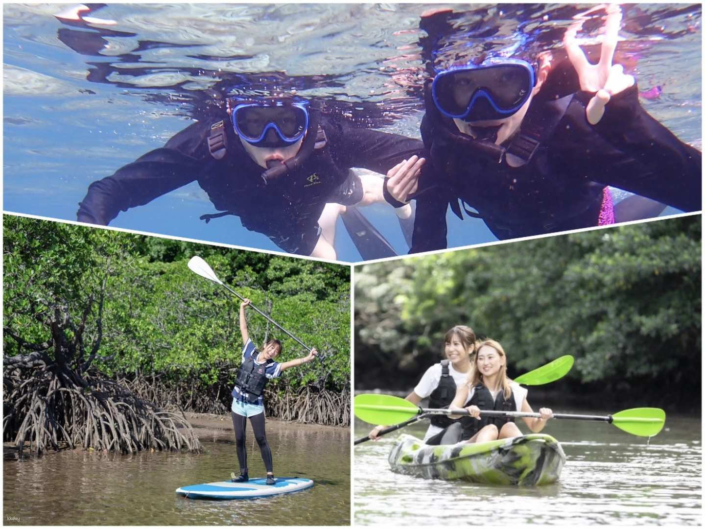 Departing from Iriomote Island - Popular with families! Tropical snorkeling + mangrove SUP/canoe experience reservation (with hotel pick-up in the Uehara area and free photo data) - Photo 1 of 10