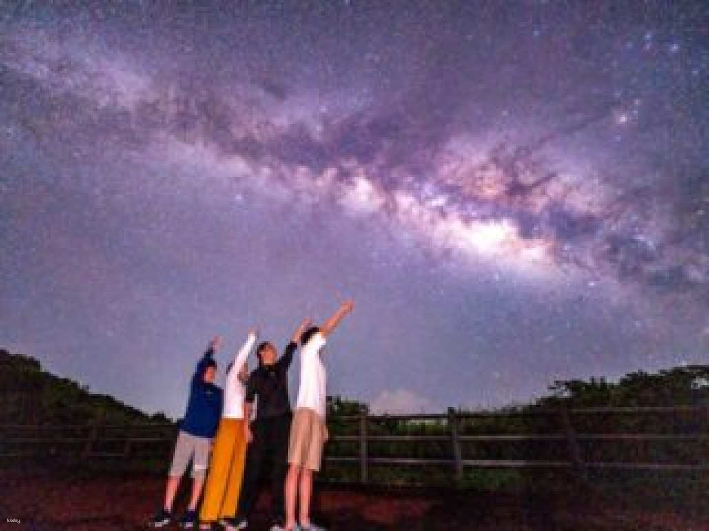 [Departing from Iriomote Island] Subtropical jungle exploration and starry sky night tour (with hotel pick-up in the Uehara area) - Photo 1 of 9