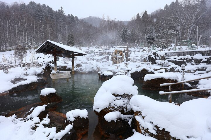 Enjoy a snow bath with a spectacular view.