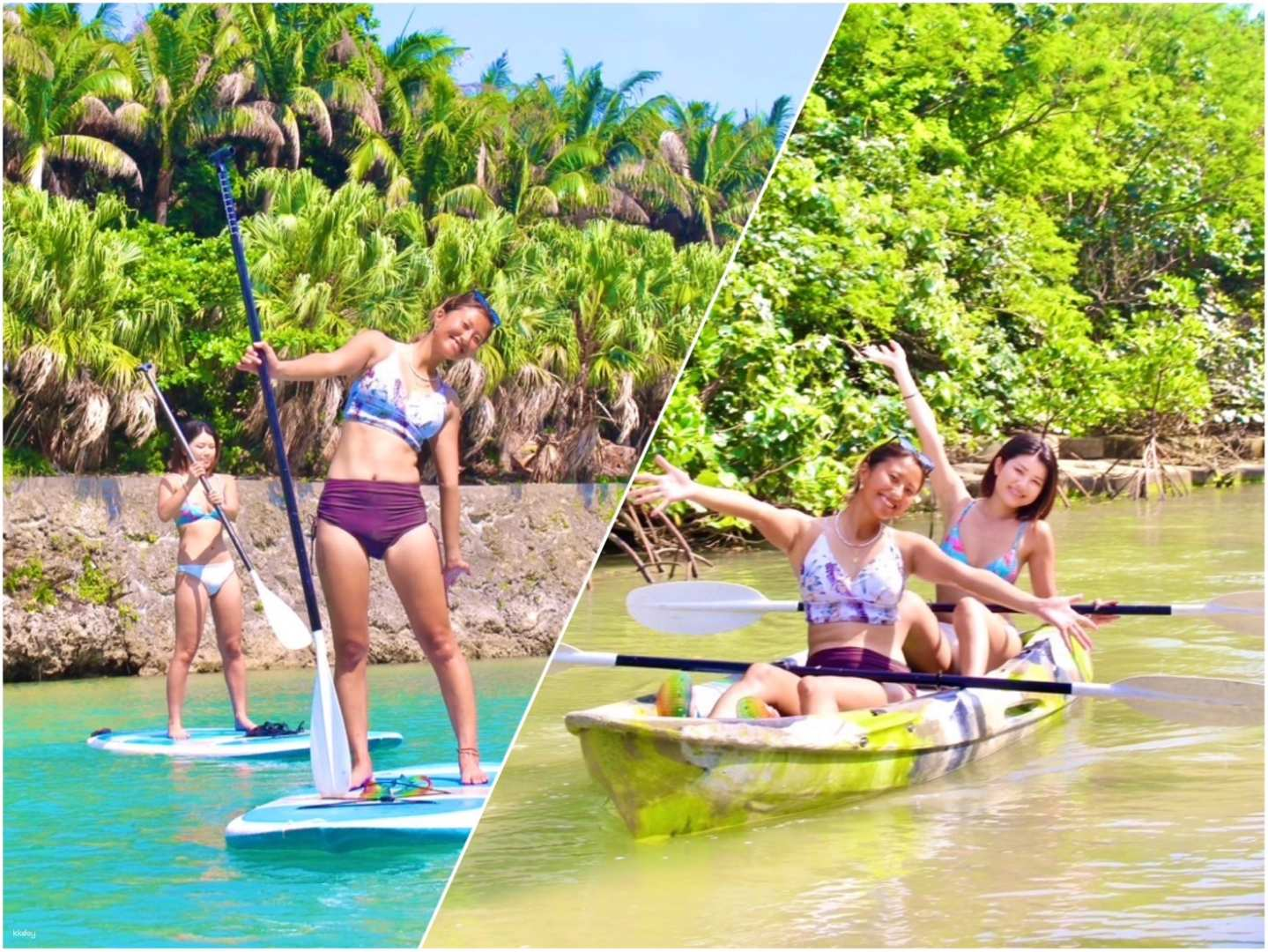 Enjoy the Miyako Blue and mangroves at the same time Sea Mangrove SUP / Canoe Tour Reservation (Okinawa Miyakojima Irabujima) - Photo 1 of 9